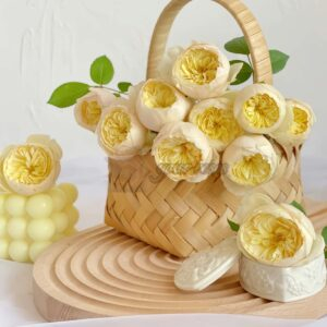 Bird Chirp Rose丨Your roses