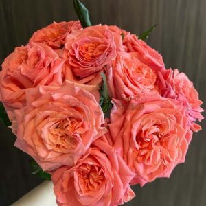Blushing Reeva Rose for sale丨Your roses