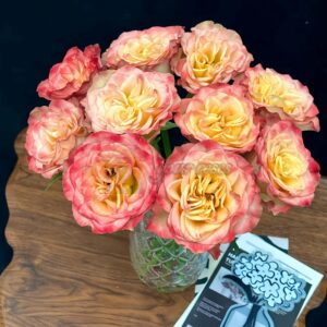 Chili Love Rose丨Your roses