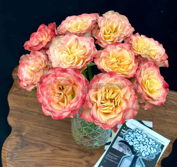 Chili Love Rose丨Your roses