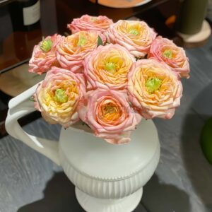 Houdini Rose丨Your roses