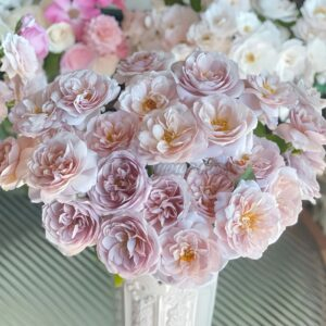 Panier Rose for sale丨Your roses