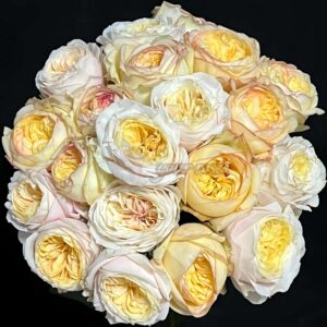 Sweet Osmanthus Chestnut Pastry with Rose丨Your roses