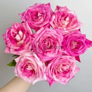 Ascending Rose for sale丨Your roses