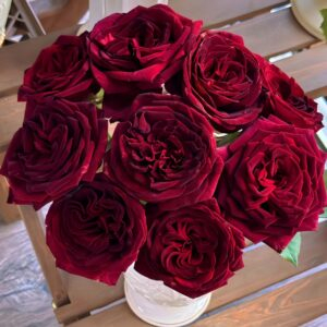Black Perfumella Rose plant丨Your roses