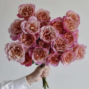 Broderi Rose丨Your roses