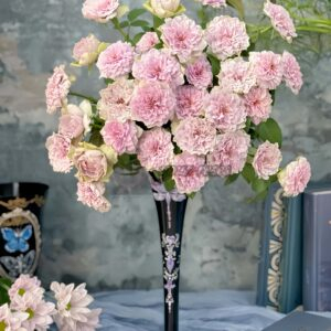 Coffret Rose plant丨Your roses