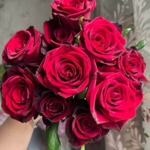 Grand Chateau Rose丨Your roses