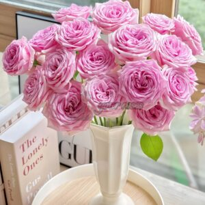 Hera Rose丨Your roses