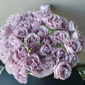 Innocentia in Caramel Rose丨Your roses