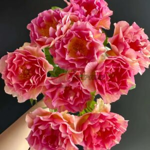 La Parisienne Rose for sale丨Your roses