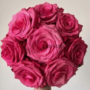 Lola Rose丨Your roses