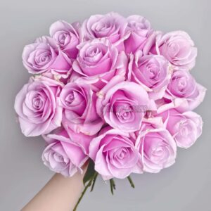 Longgaozhu Rose丨Your roses