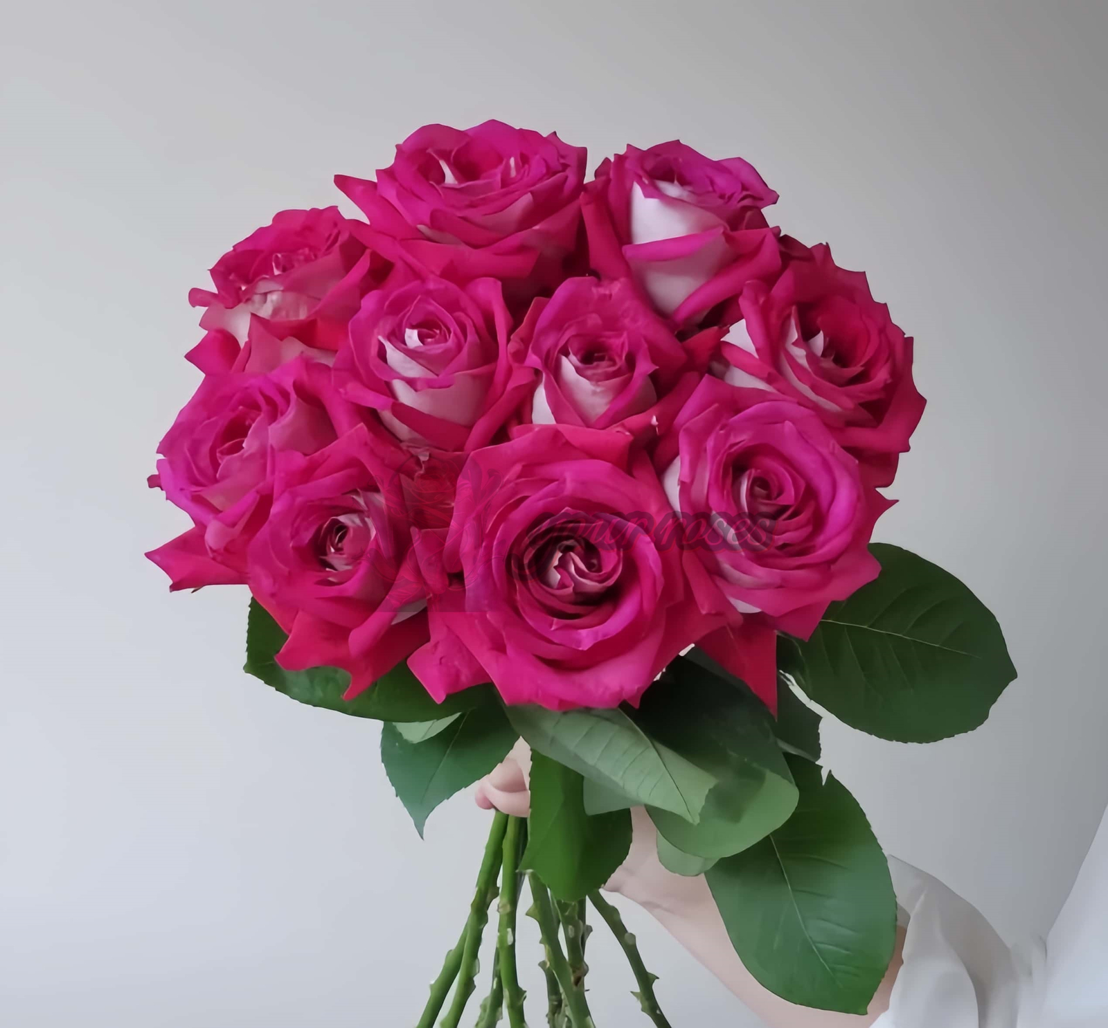 Monica Bellucci Rose丨Your roses