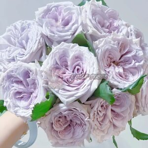 Purple Lychee Rose丨Your roses