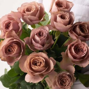 Reason Rose for sale丨Your roses