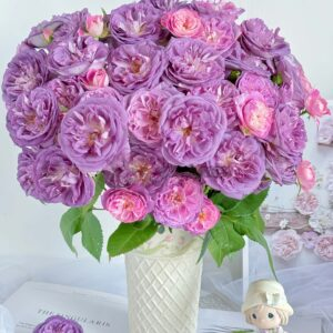 Rinaldo Rose丨Your roses