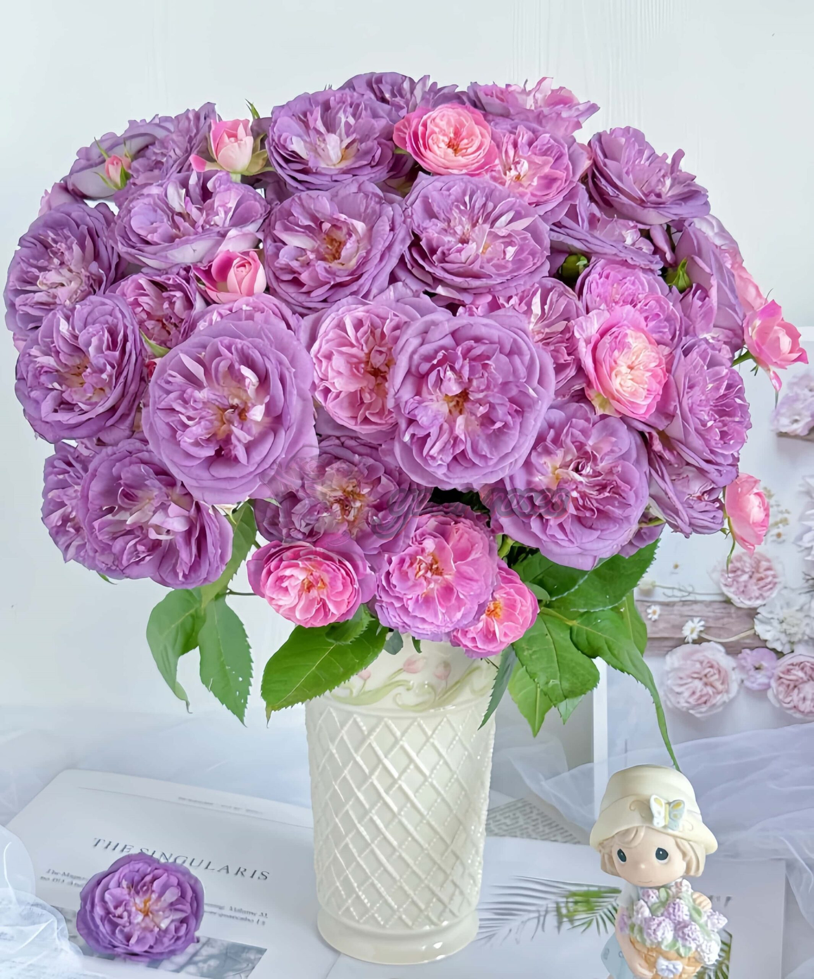 Rinaldo Rose丨Your roses