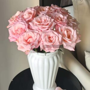 Roselyne Rose丨Your roses