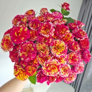 Stunning Rose丨Your roses