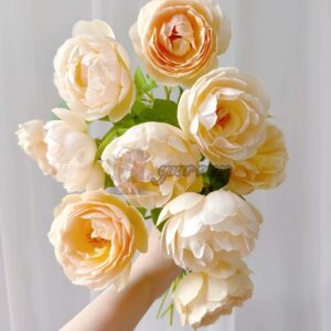 Wollerton Old Hall Rose for sale丨Your roses