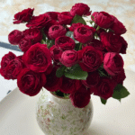 Red Lace Rose 2Gal photo review