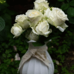 Mount Shasta Rose photo review