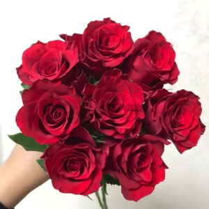 Bao Zhen Rose丨Your roses