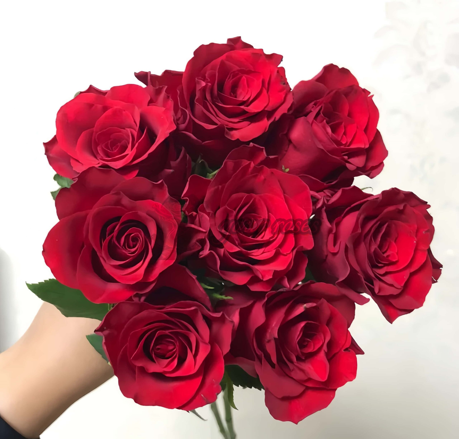 Bao Zhen Rose丨Your roses