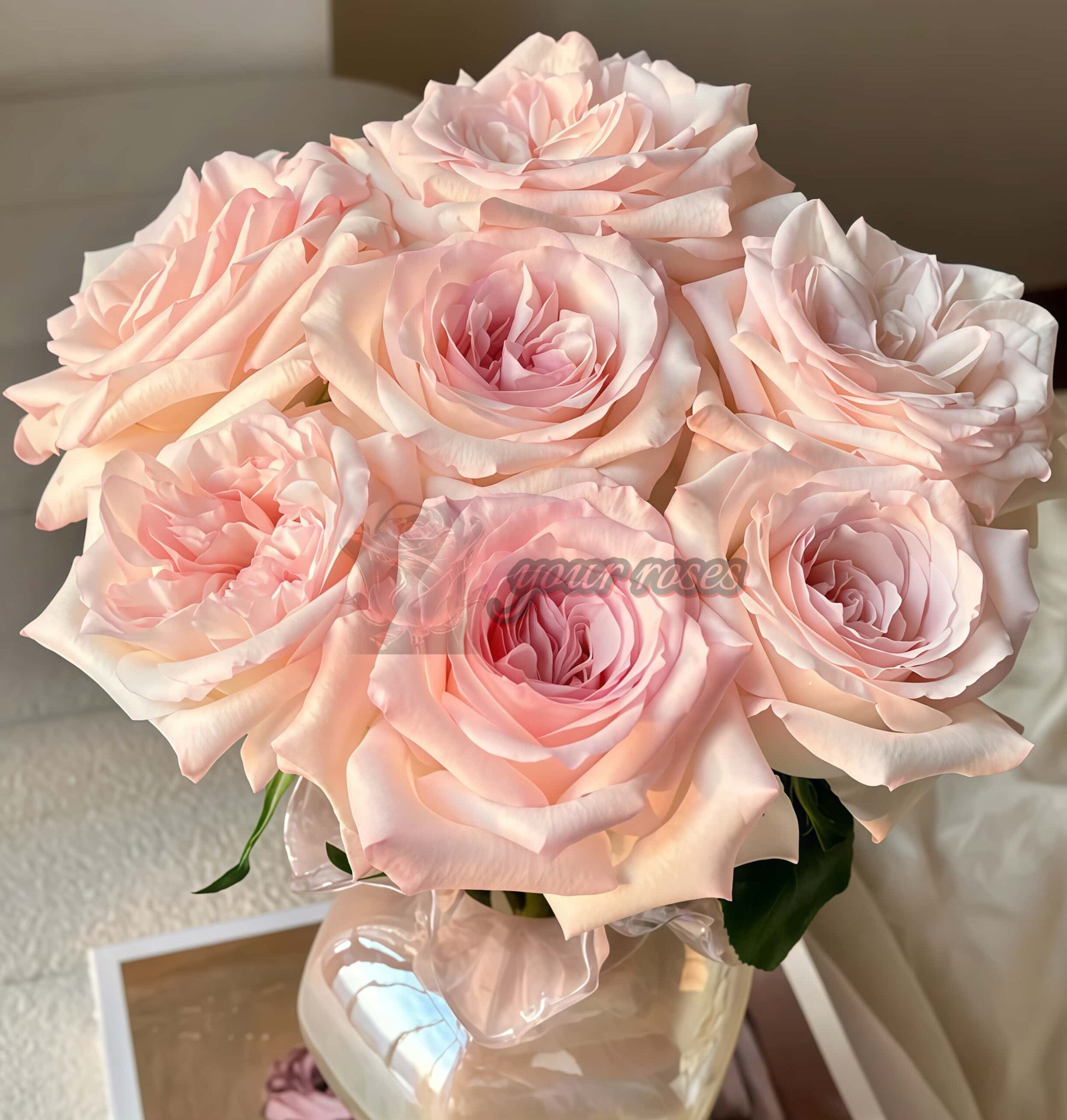 Fragrance Lady Rose for sale丨Your roses