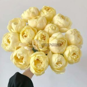 Goldie Rose for sale丨Your roses