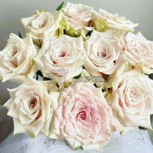 Green Pomelo Rose plant丨Your roses