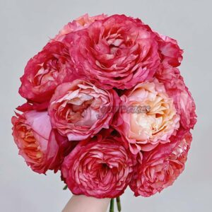 Hongyi Meiren Rose丨Your roses