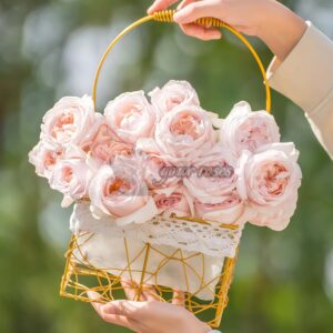 Huanpei Rose丨Your roses