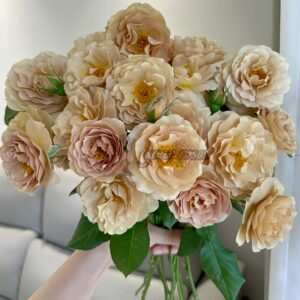 La broche Rose丨Your roses