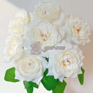 Lake Balka Rose for sale丨Your roses