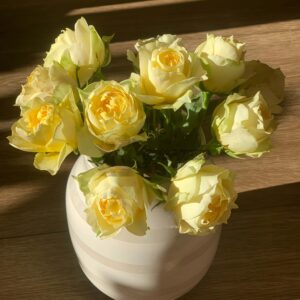 Lüfu Meiren Rose丨Your roses