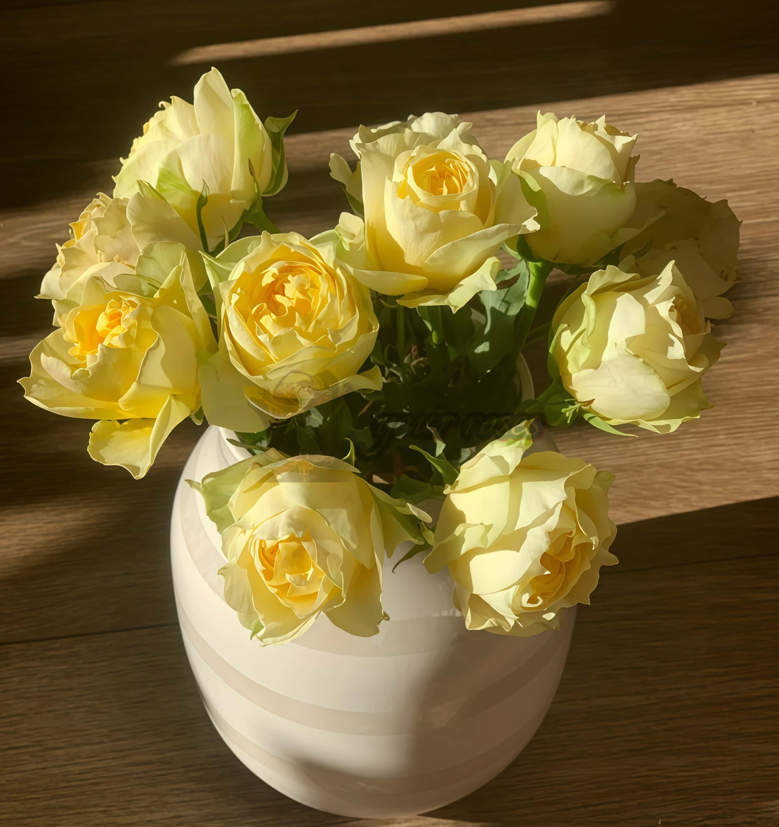 Lüfu Meiren Rose丨Your roses