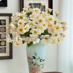 Mary Ann de Lamartine Rose丨Your roses