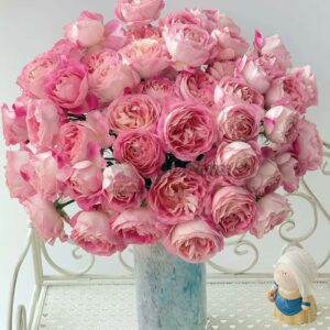 Meirenzui Rose丨Your roses