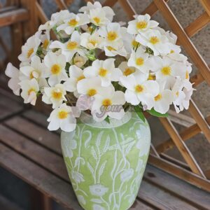 Sally Holmes Rose plant丨Your roses