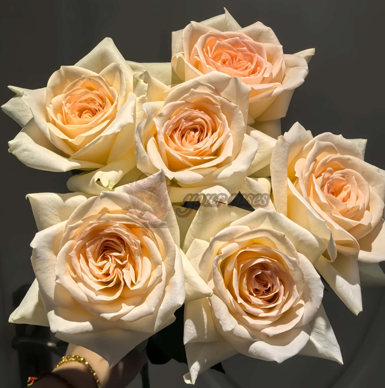 Sixth Sense Rose for sale丨Your roses