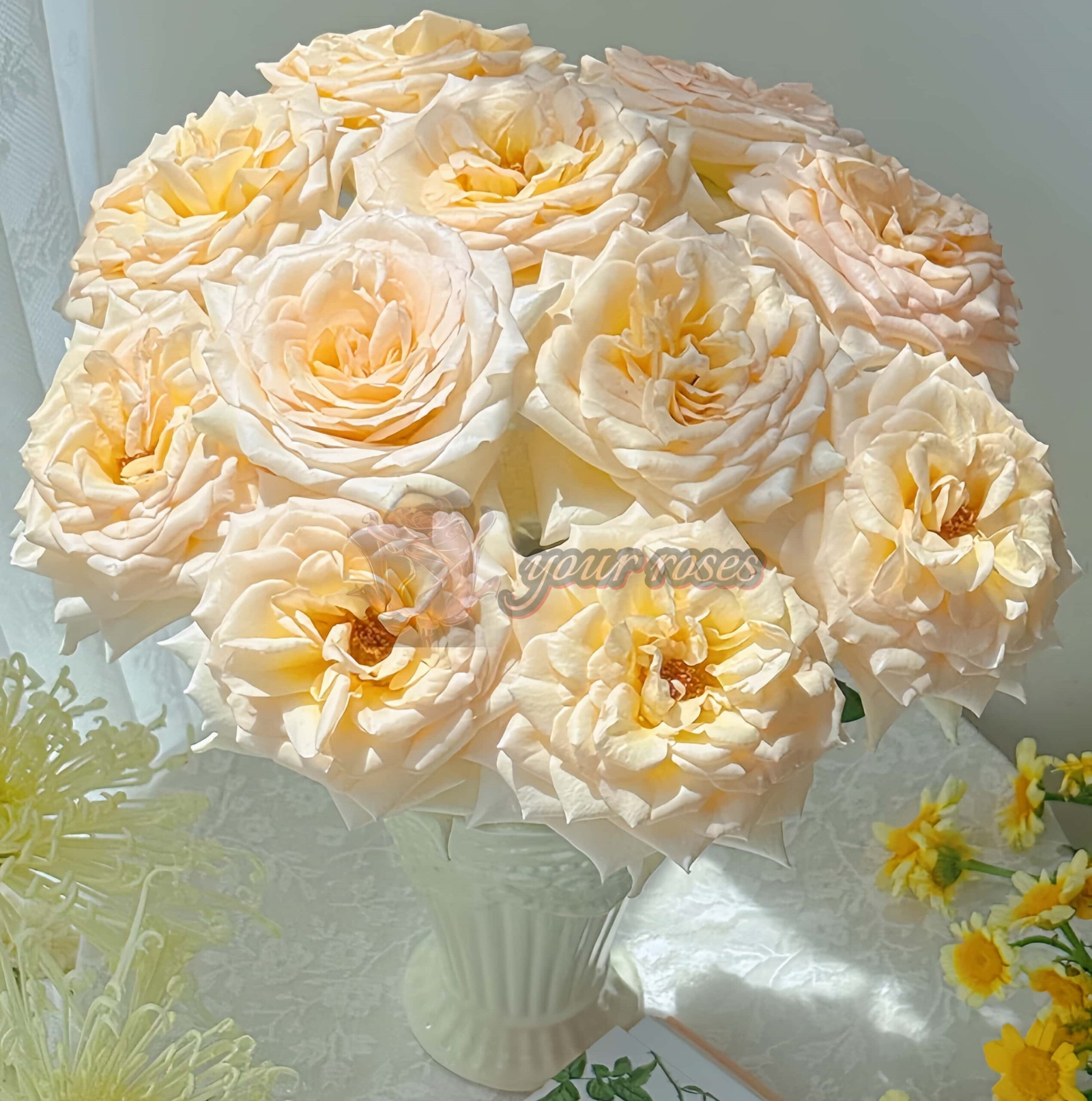 Sixth Sense Rose丨Your roses