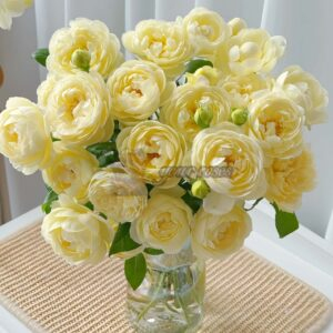 Vellow Ambridge Rose丨Your roses