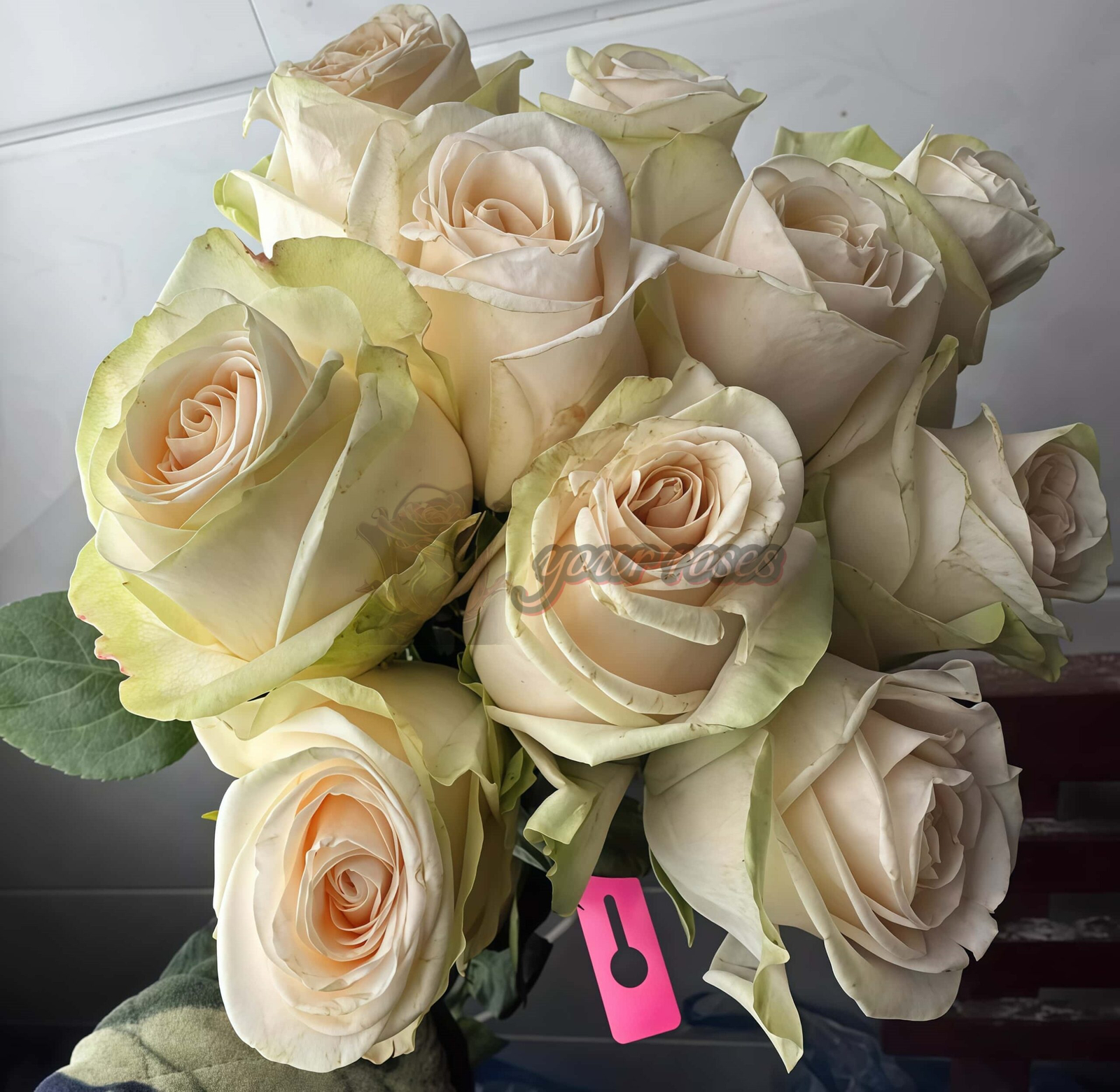 Wedding Spirit Rose丨Your roses