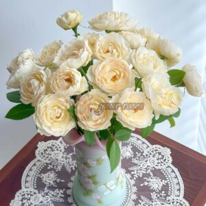 Windermere Rose丨Your roses