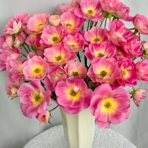 Xizi yanyu Rose丨Your roses