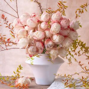 Yuheng Rose plant丨Your roses