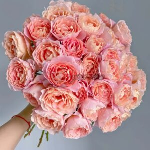 Zhiqiu Rose for sale丨Your roses