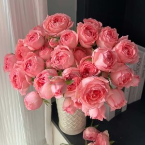 Zuixiangyun Rose丨Your roses